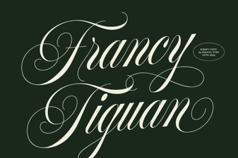 Francy Tiguan Font Style for Web Projects
